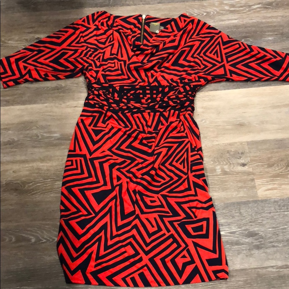 Taylor Dress great condition!
